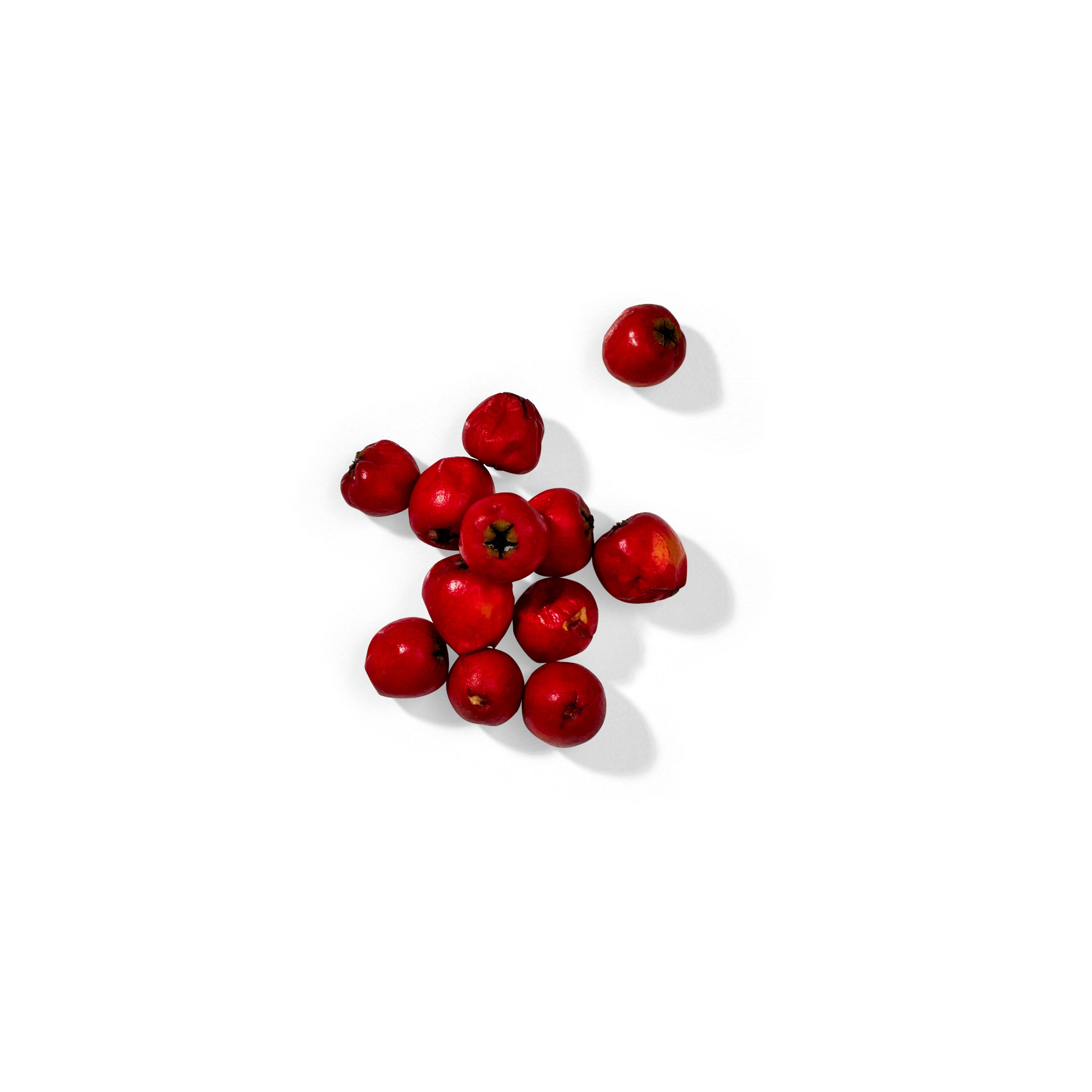 Rosehip Seed Oil